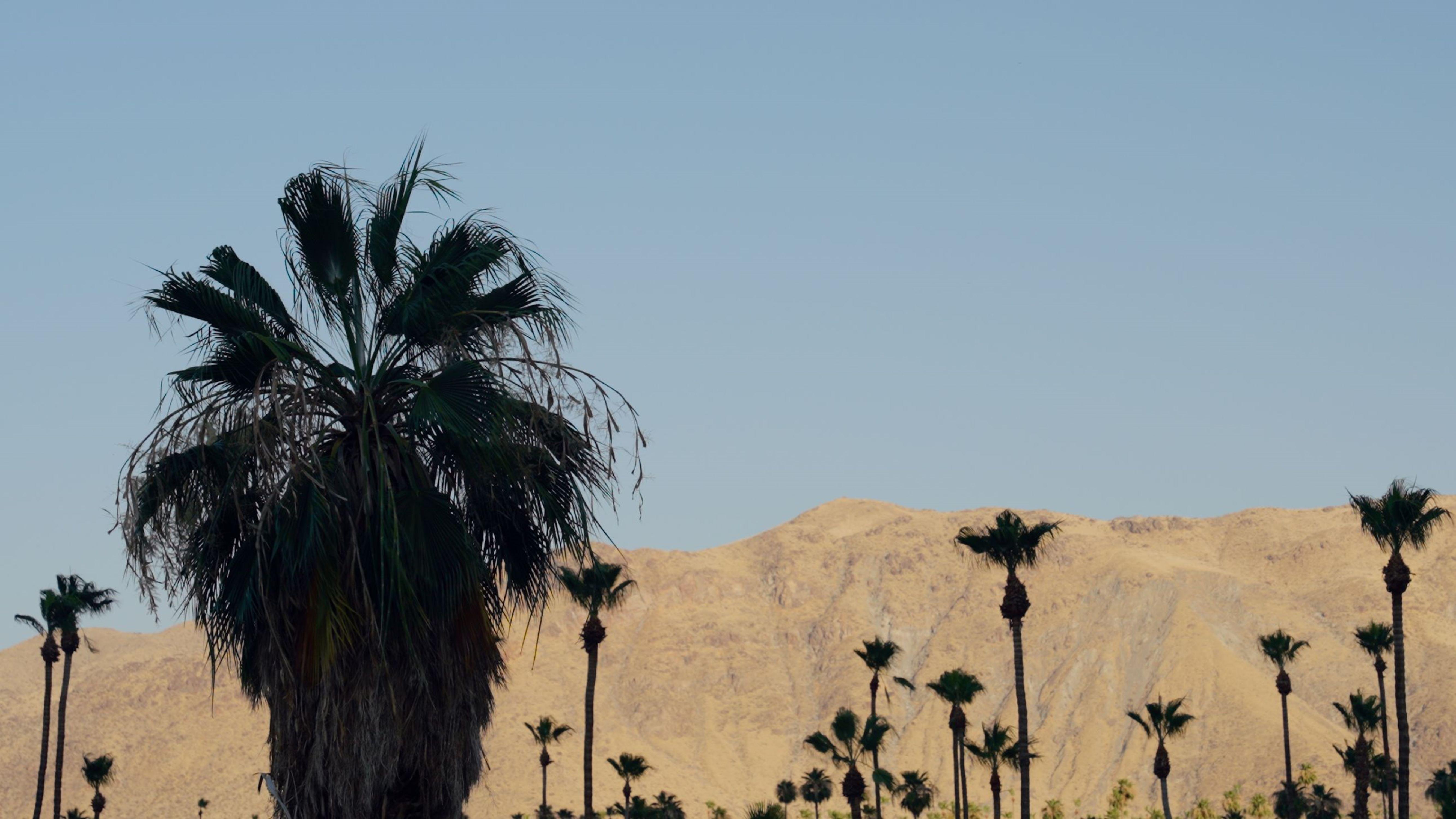 Hotel Royal Sun Palm Springs Exterior foto